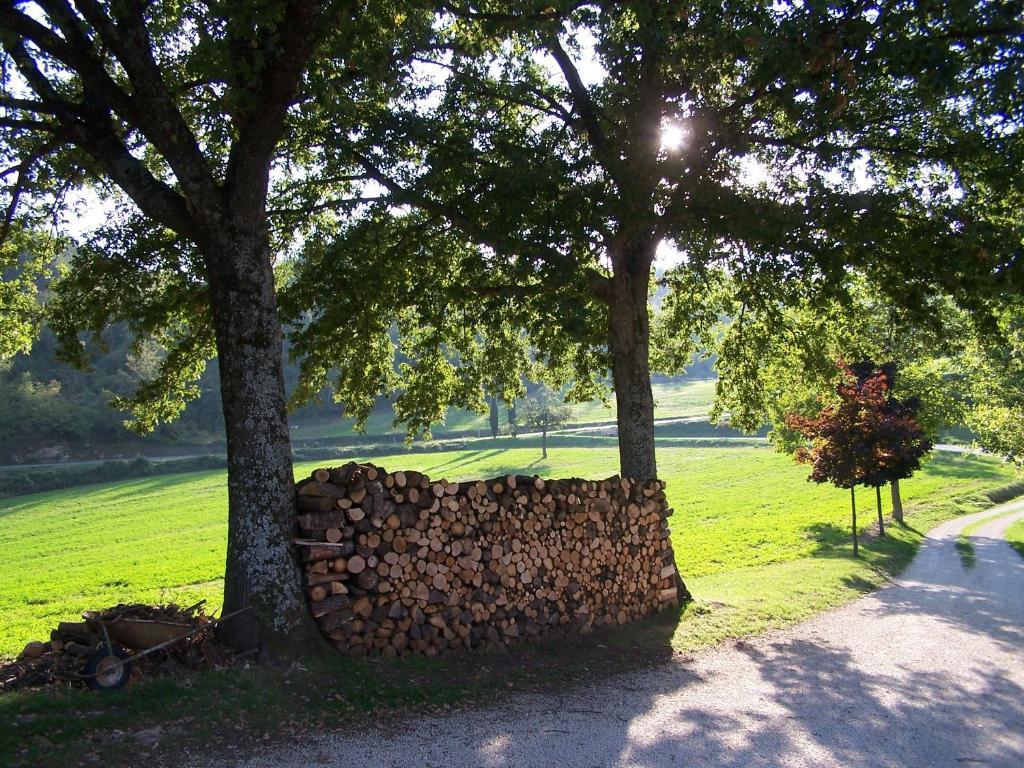 Willa Agriturismo Fontandrone Pieve Santo Stefano Zewnętrze zdjęcie